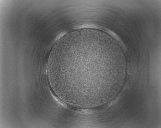 X0000079291241200611251639