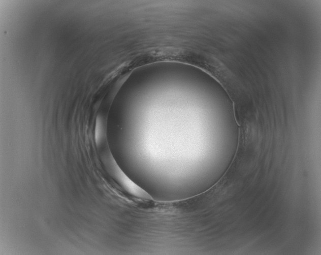 X0000079291250200611251638