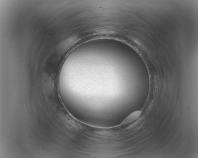 X0000079291257200611251638