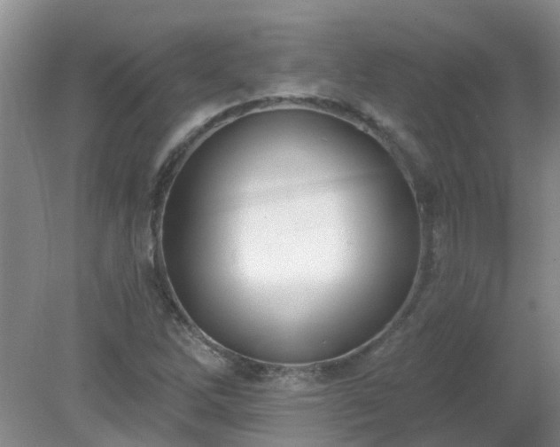 X0000079291262200611251638