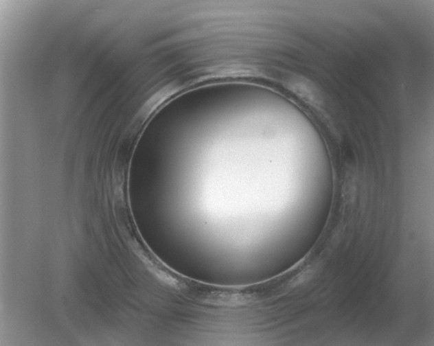 X0000079291273200611251638