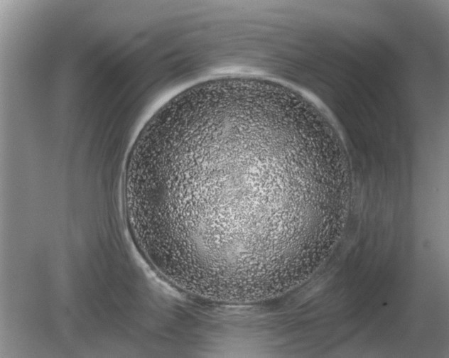 X0000079291295200611251637