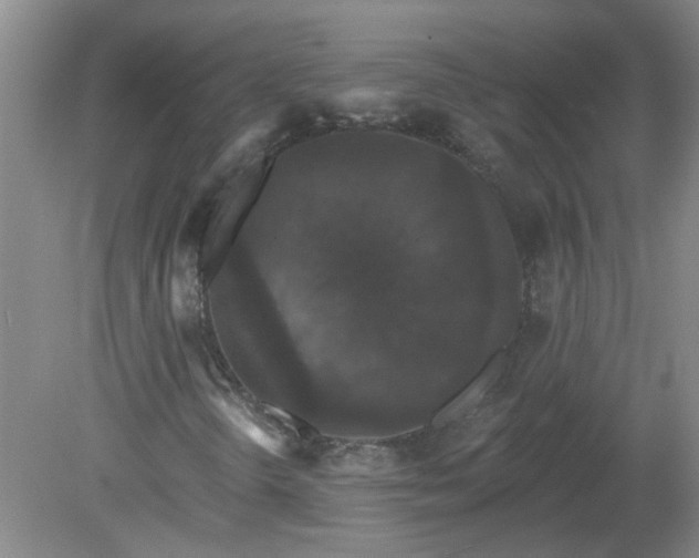 X0000079291298200611251637