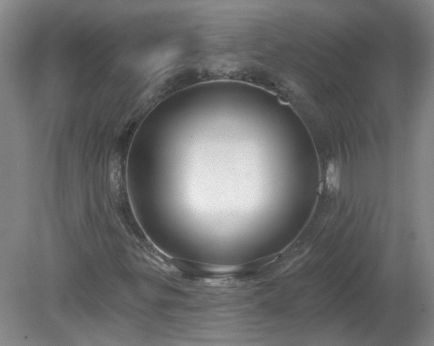 X0000079291299200611251637