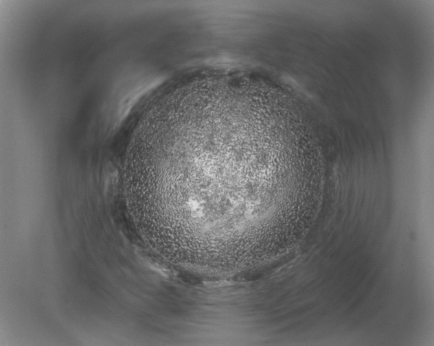 X0000079291302200611251637