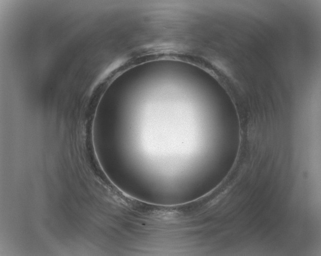 X0000079291309200611251637