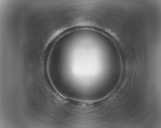 X0000079291311200611251637