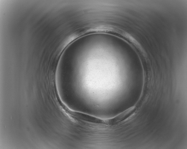 X0000079291329200611251637