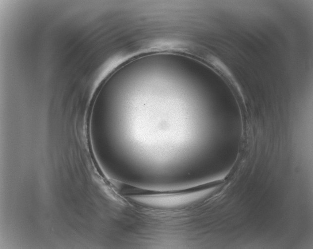 X0000079291336200611251637