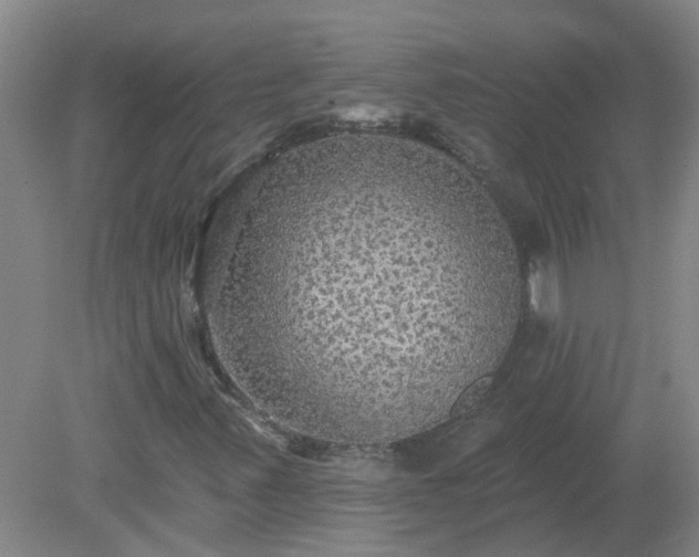 X0000079291347200611251637