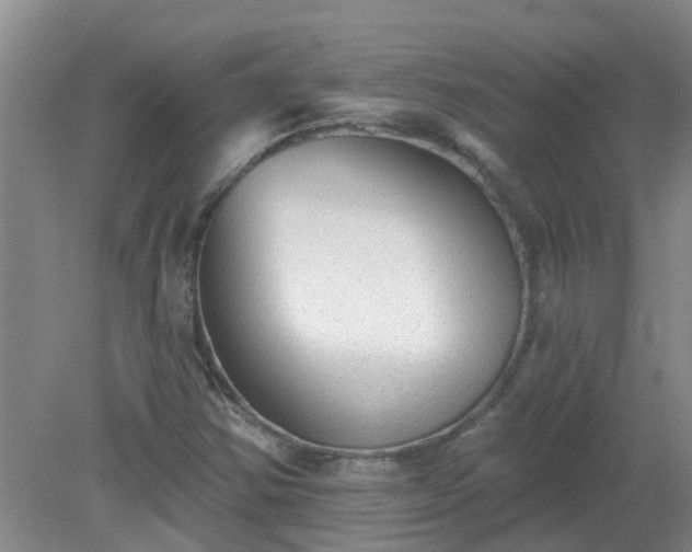 X0000079291354200611251636