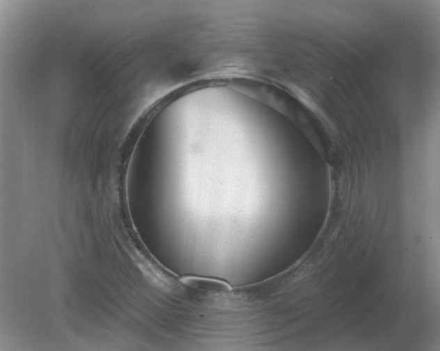 X0000079291356200611251636