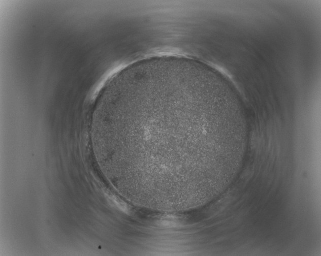 X0000079291359200611251636