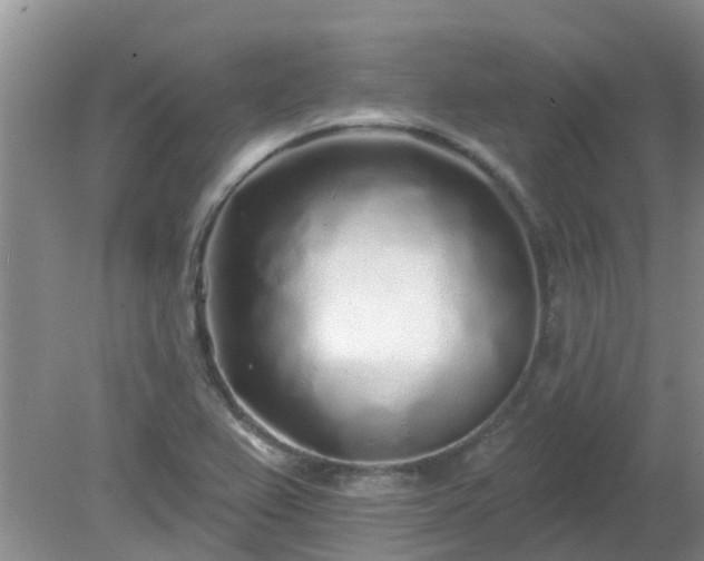 X0000079291367200611251636