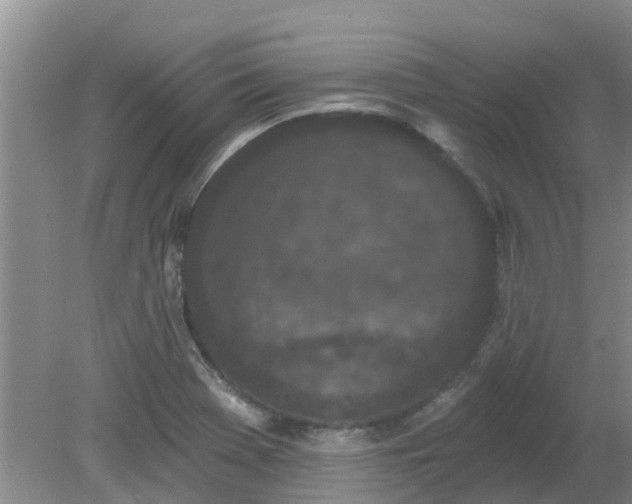 X0000079291369200611251636