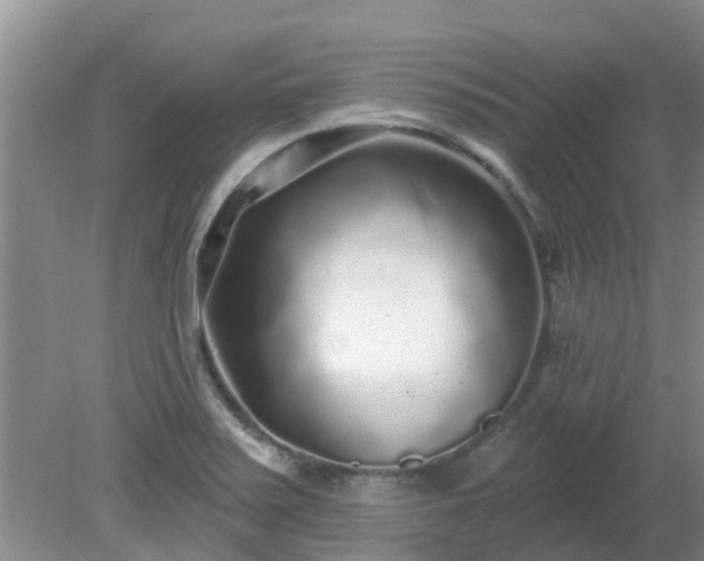 X0000079291371200611251636