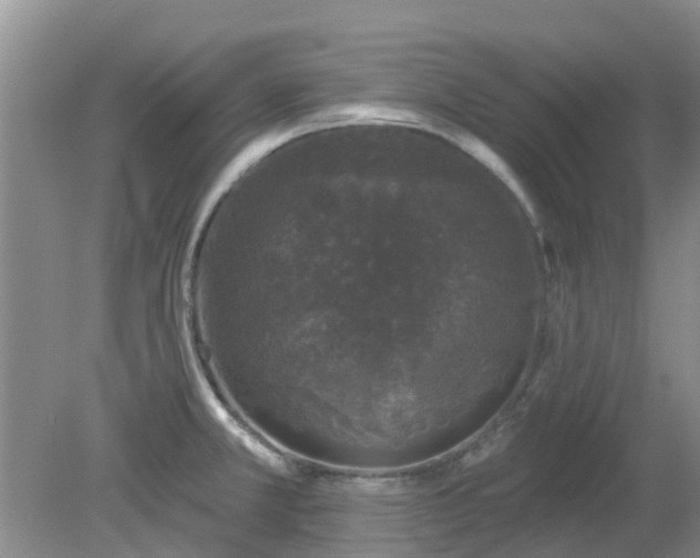 X0000079291381200611251636