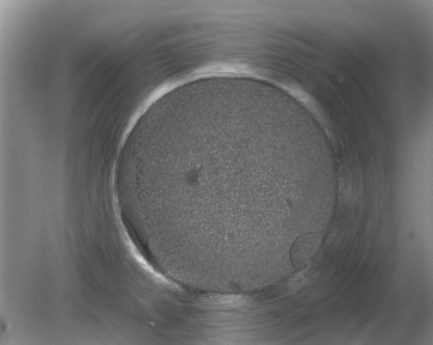 X0000079291382200611251636