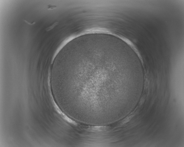 X0000079291390200611251636