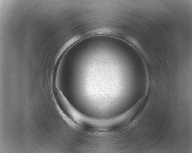 X0000079291426200611251636