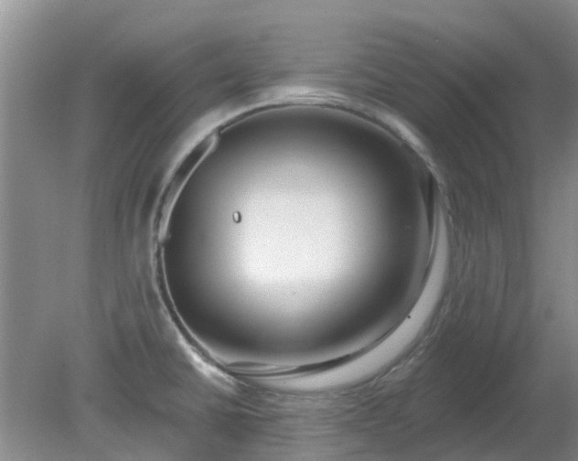 X0000079291430200611251636