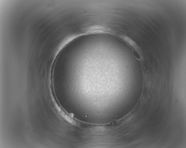 X0000079291431200611251636