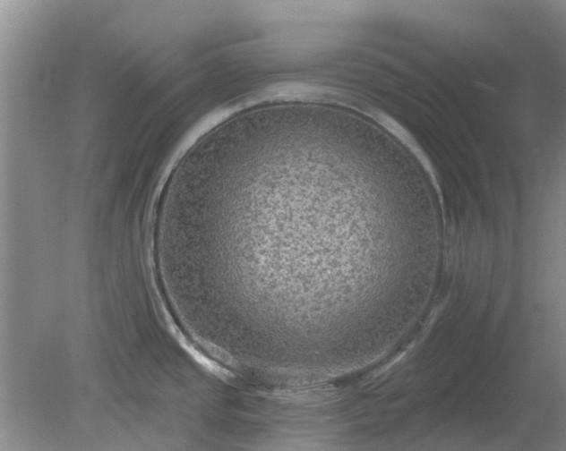 X0000079291437200611251636