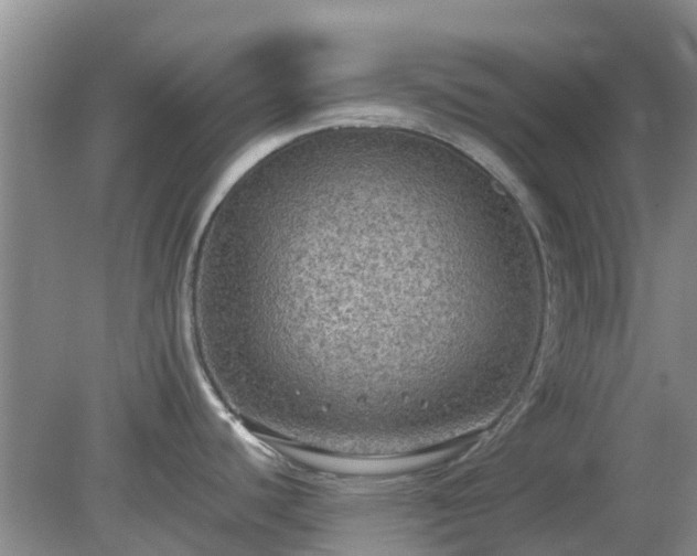 X0000079291440200611251636