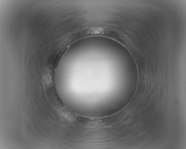 X0000079291442200611251635