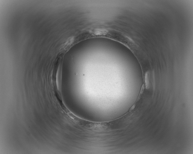 X0000079291443200611251635