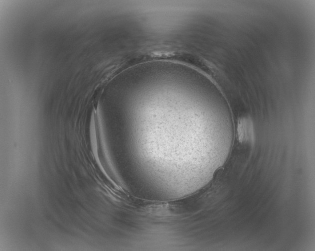 X0000079291444200611251635