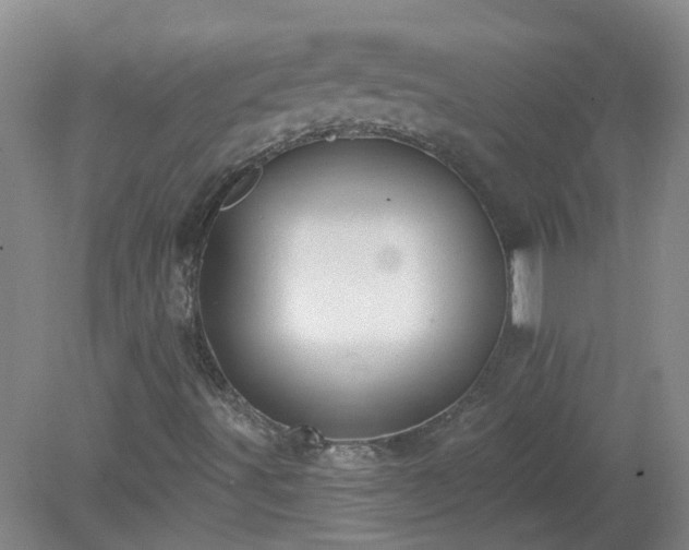 X0000079291491200611251633