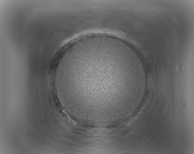 X0000079291494200611251633