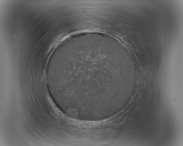 X0000079290002200612011736