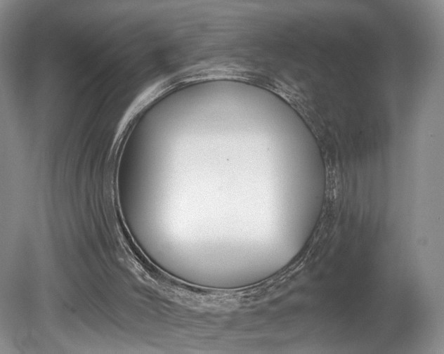 X0000079290004200612011736