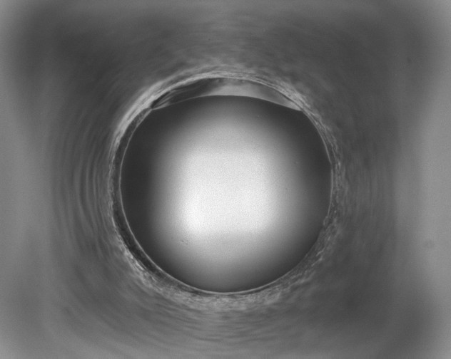 X0000079290007200612011736