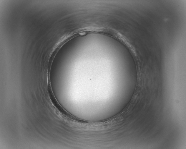 X0000079290011200612011736