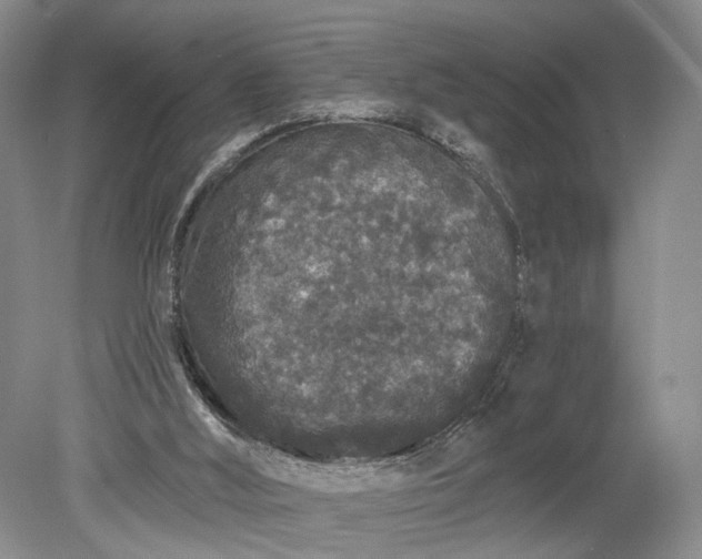 X0000079290012200612011736