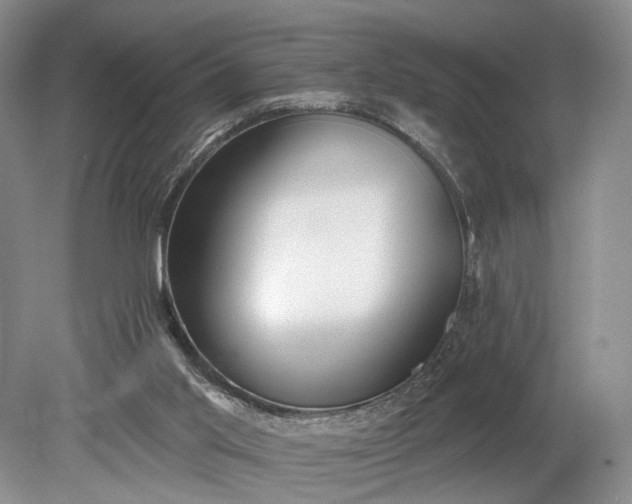 X0000079290013200612011736