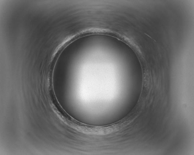 X0000079290015200612011736