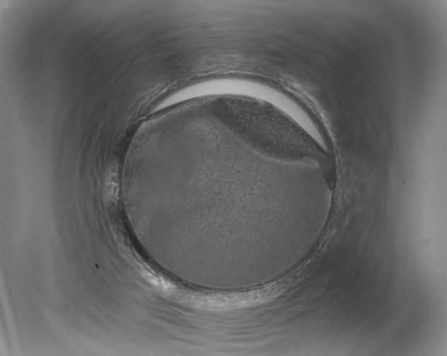 X0000079290017200612011736