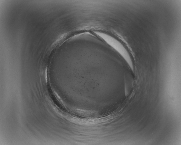 X0000079290019200612011736