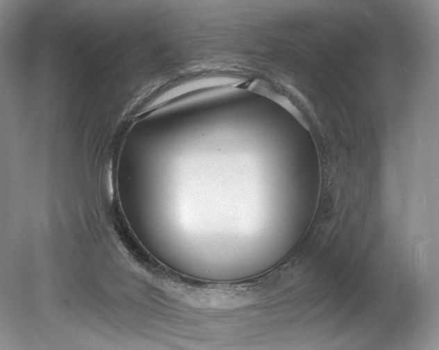 X0000079290020200612011736