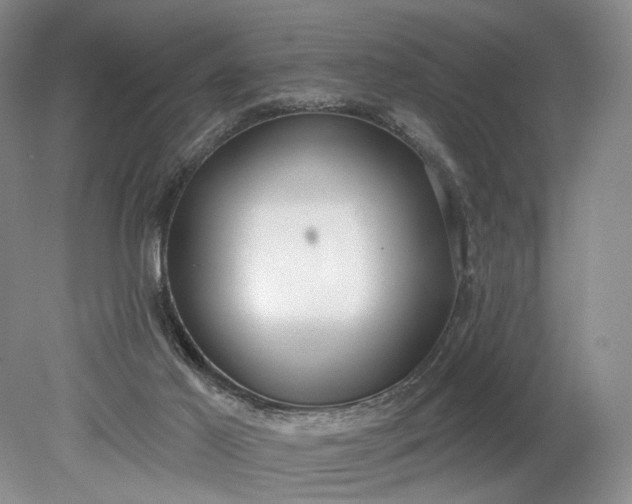 X0000079290021200612011736