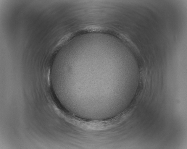 X0000079290024200612011735