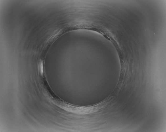 X0000079290027200612011735