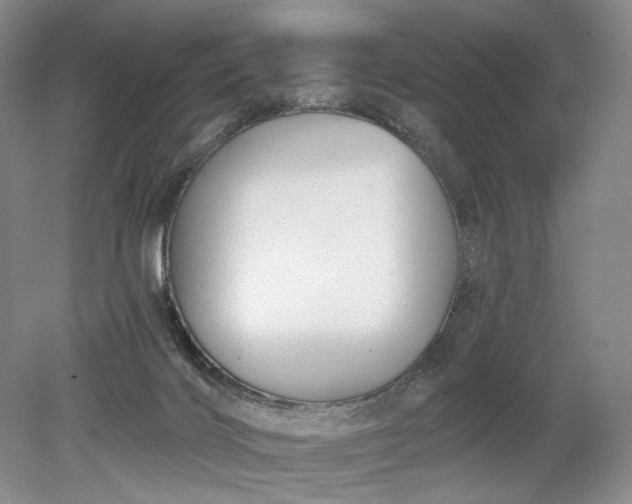 X0000079290028200612011735