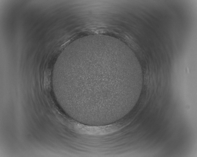 X0000079290030200612011735