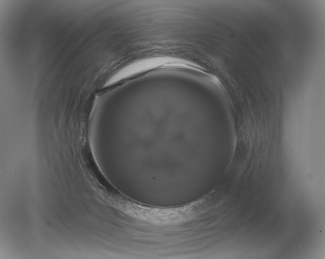 X0000079290031200612011735