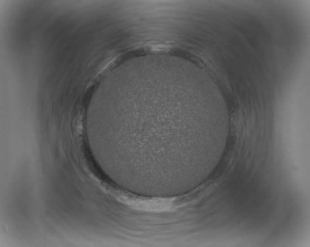 X0000079290032200612011735